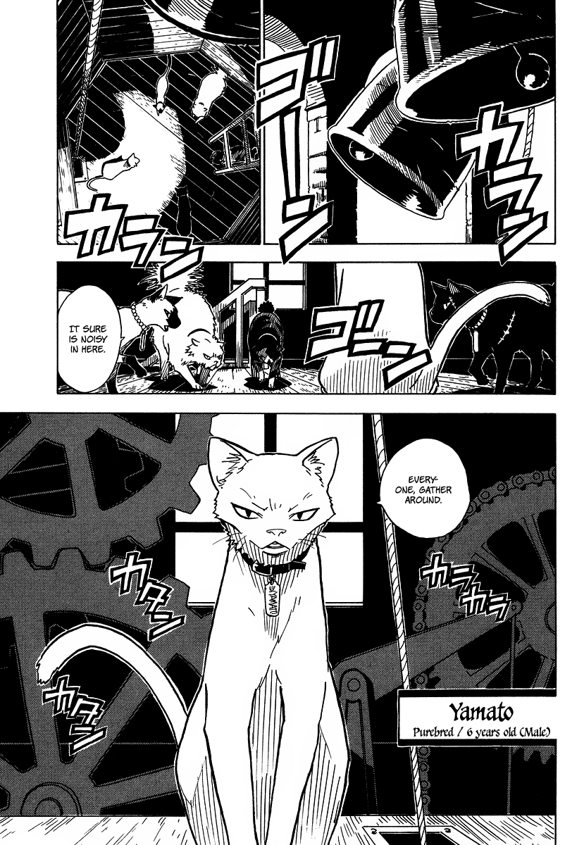 Gakuen Sousei Nekoten! The Secret Room 第7页
