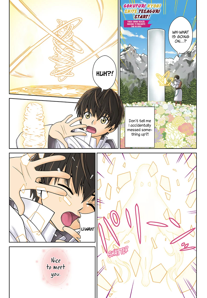 Gokufuri Kyohi Shite Tesaguri Start! - Tokka Shinai Healer, Nakama to Wakarete Tabi ni Deru 第2页