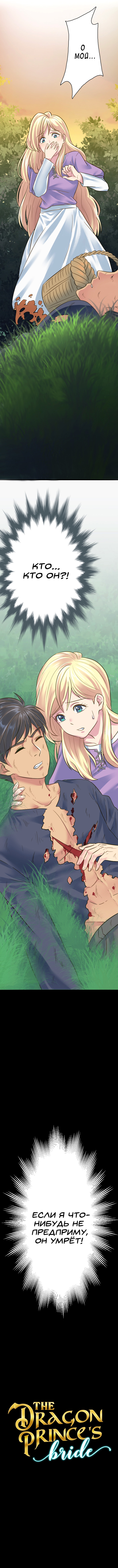 The Dragon Prince's Bride Моя нынешняя жизнь 第10页
