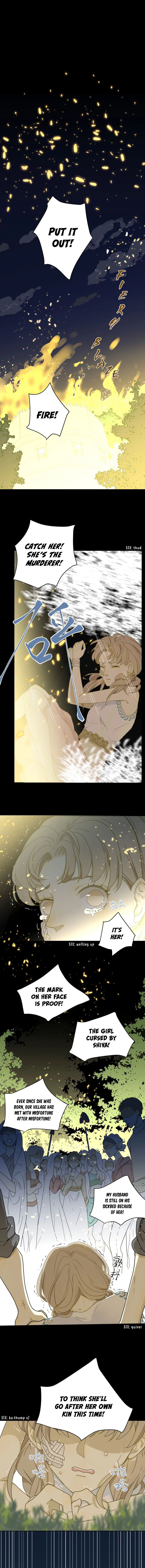 Tyrant's Tears The Cursed Girl 第14页