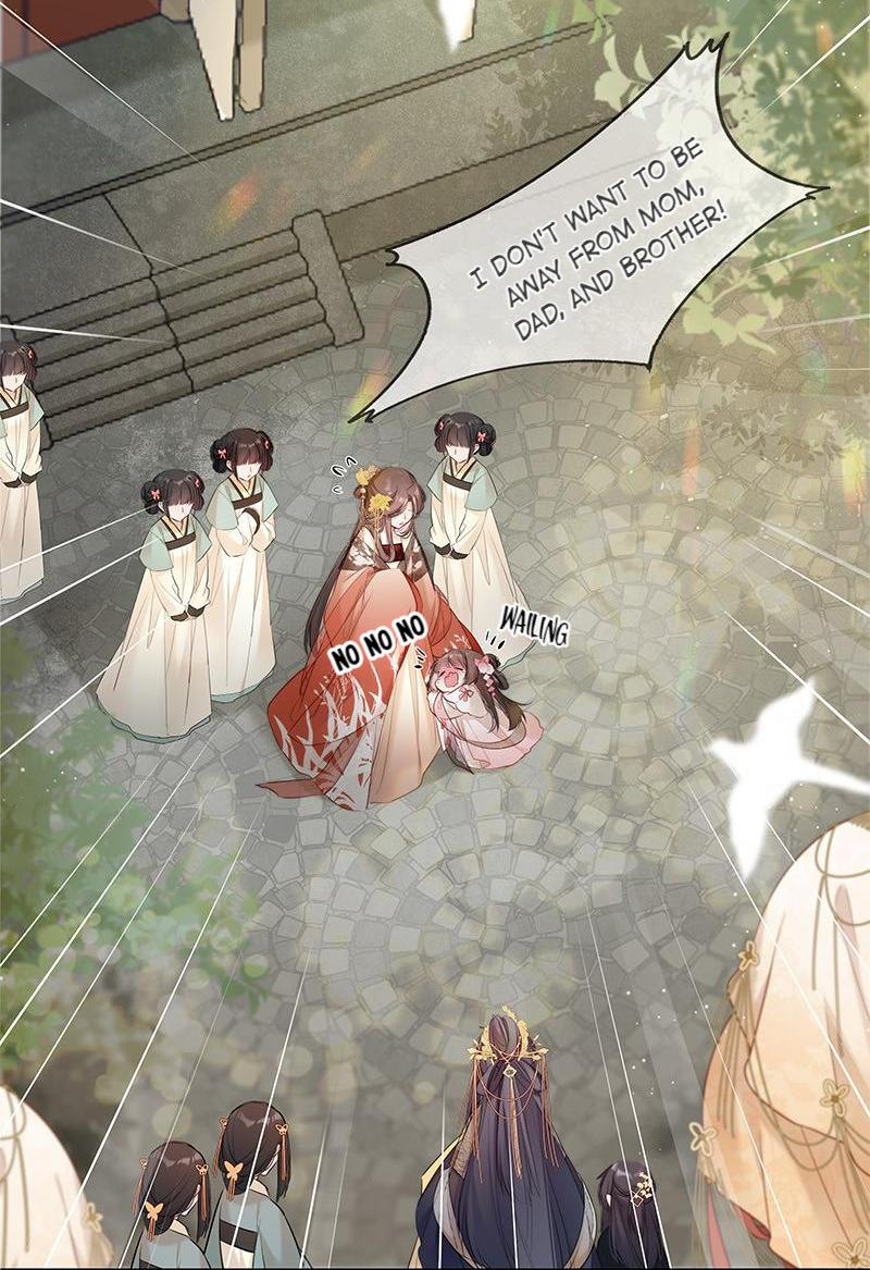 Crown Prince Has a Sweetheart The Daughter of Shen's Family 第3页