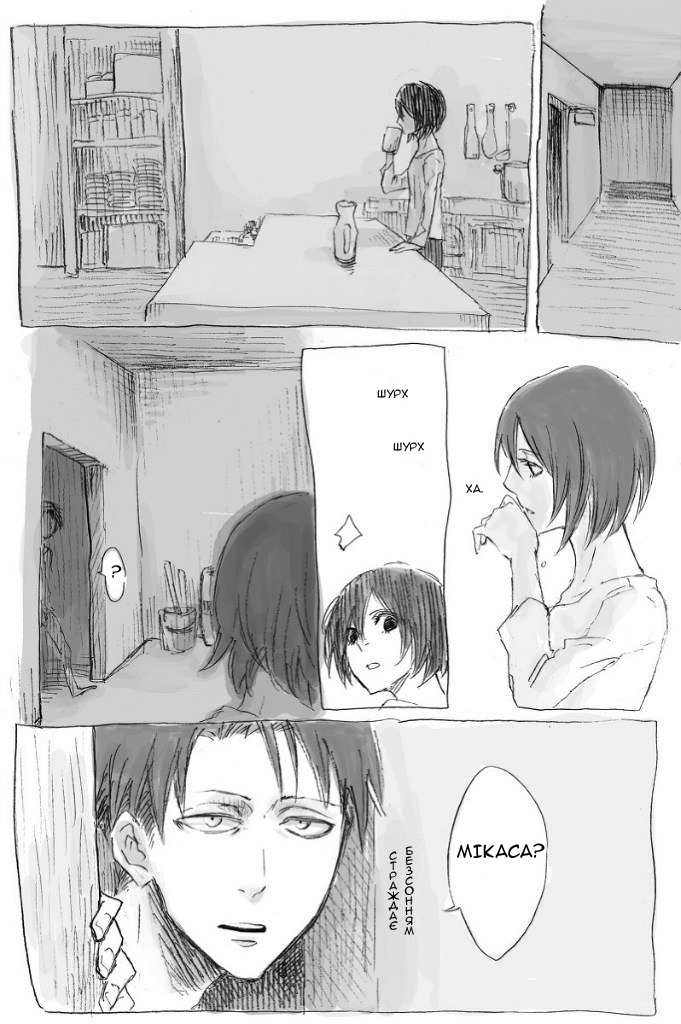 Shingeki no Kyojin - Levi and Mikasa 第3页