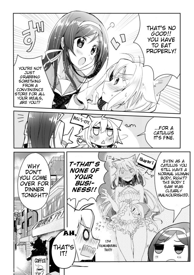 Catulus Syndrome Friend Problem 第6页