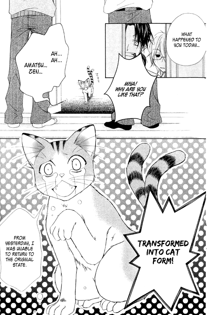 Ayakashi Tennen Beans Vol. 1 Ch. 3 第11页