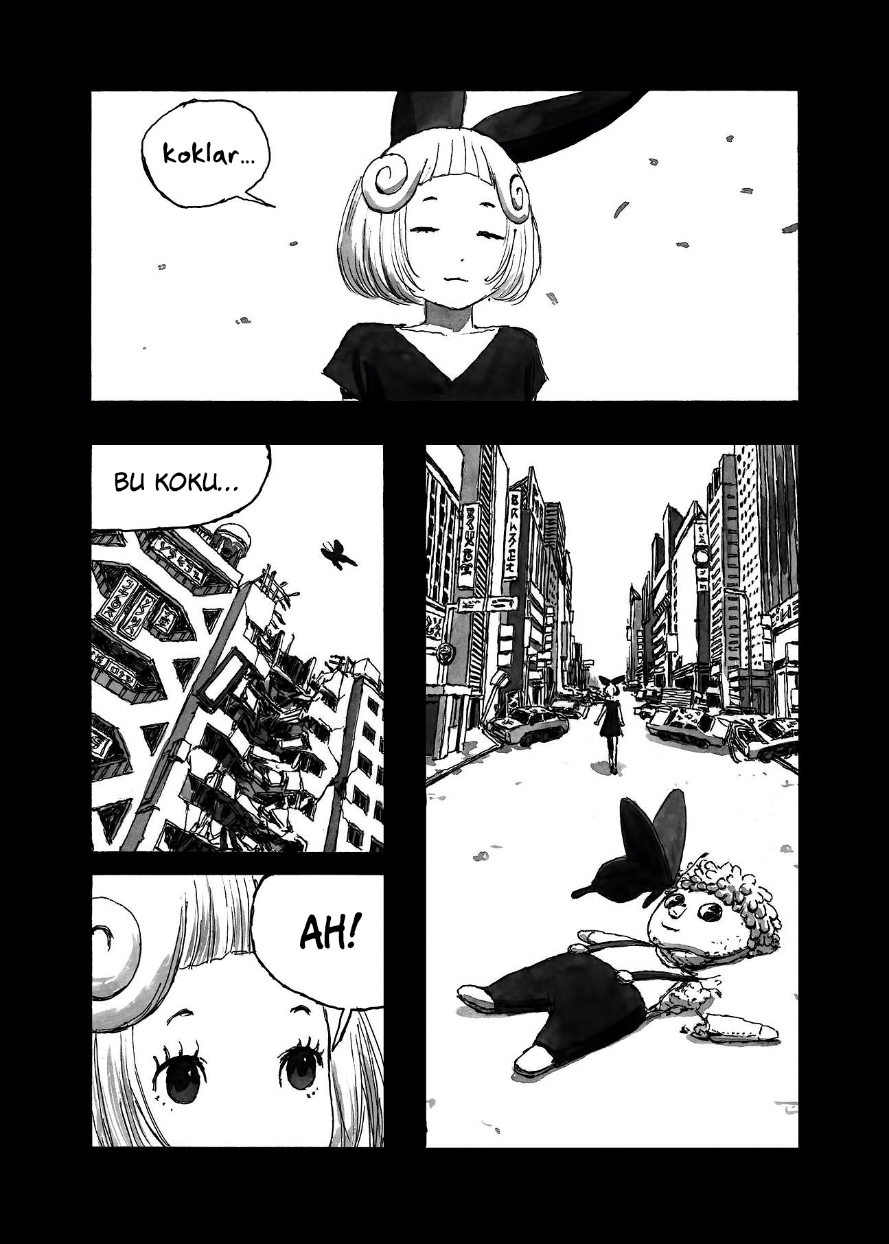 BIBLIOMANIA Fantazmagori İçindeki Alice... 第29页