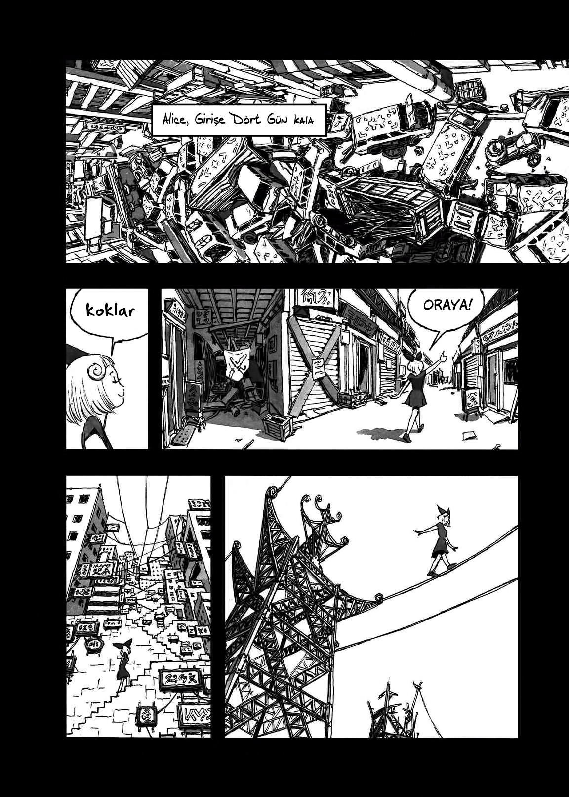 BIBLIOMANIA Fantazmagori İçindeki Alice... 第45页