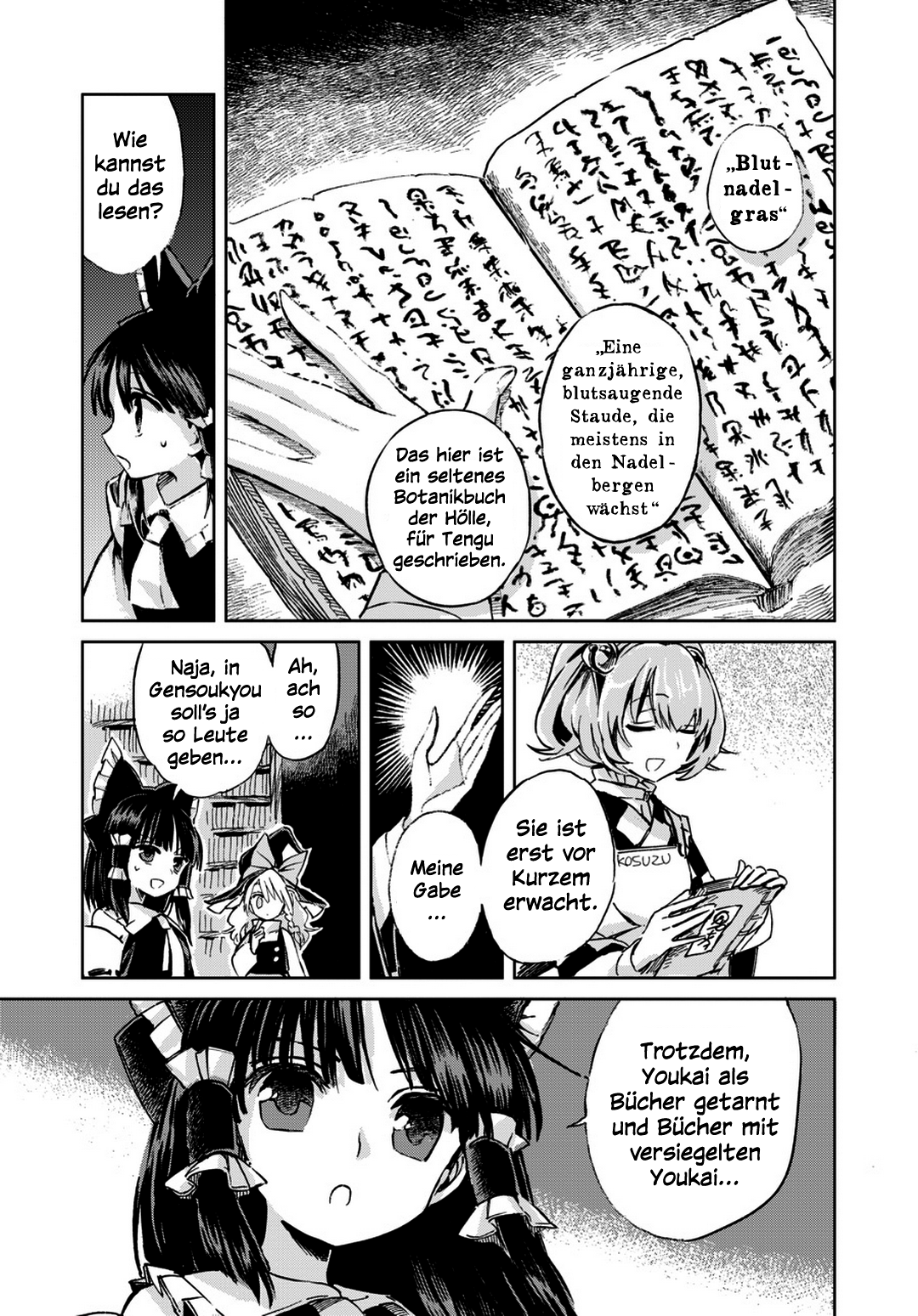 Touhou Suzunaan ~ Forbidden Scrollery. Die Seltenen Fantasiebücher 第24页