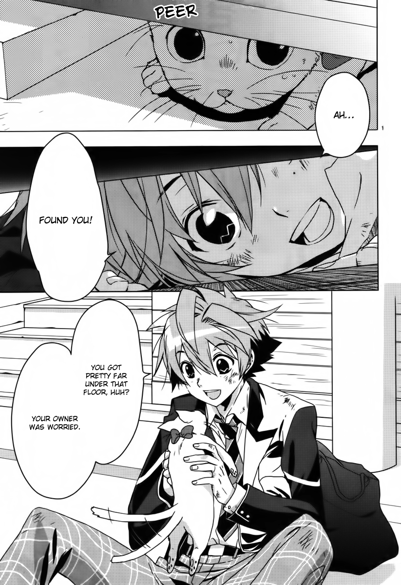 1001 Knights 第4页
