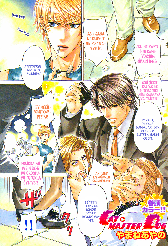 Cat & Master Dog 第3页