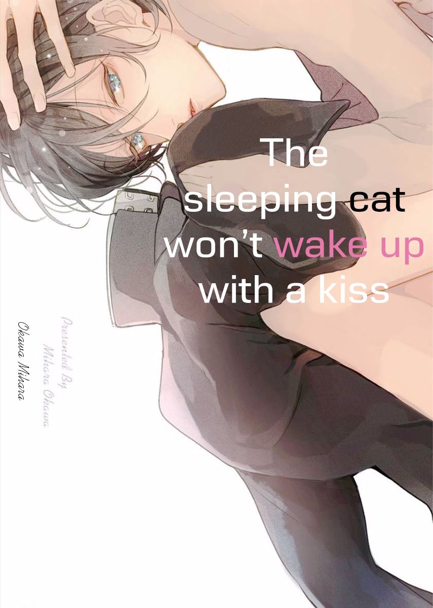 Nemuri Neko wa Kuchizuke de Mezamenai 第5页