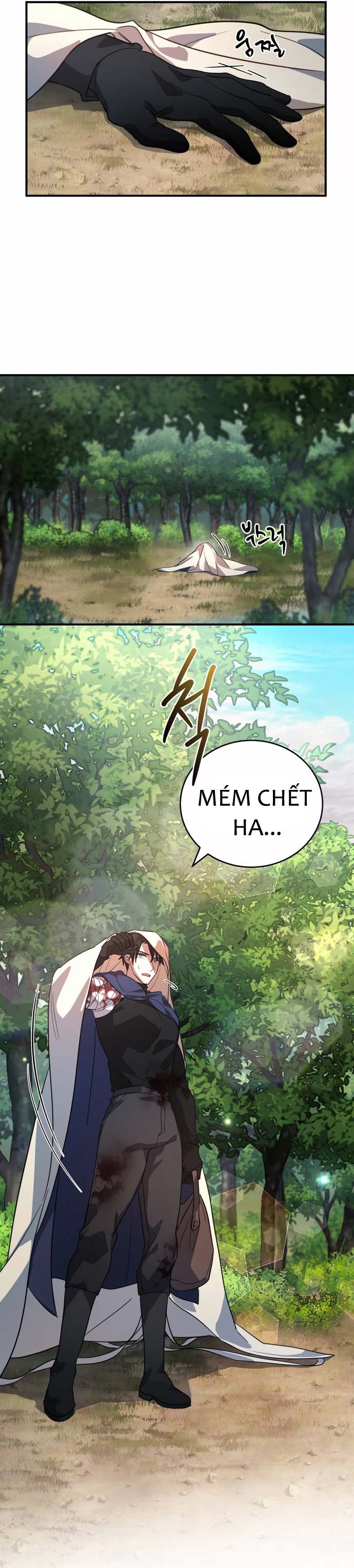 Hero x Demon King x Villain Tuyên thệ của kiếm sĩ hạng nhất 第19页