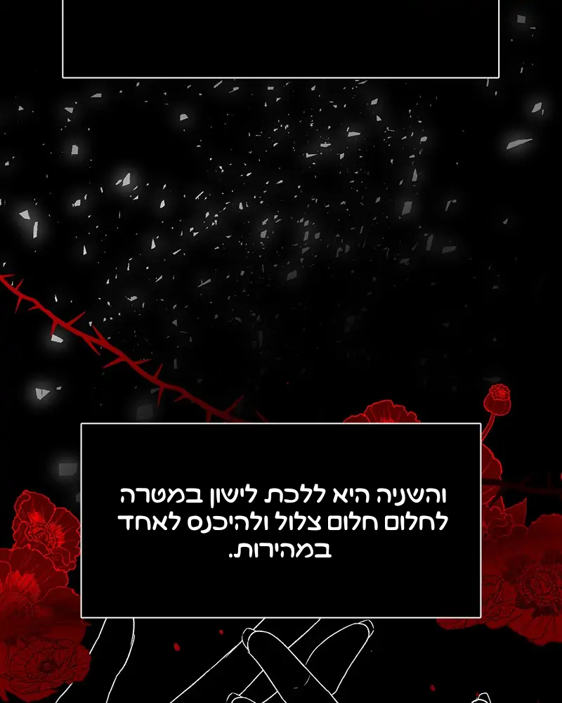 Dreaming Freedom חלום צלול 第116页