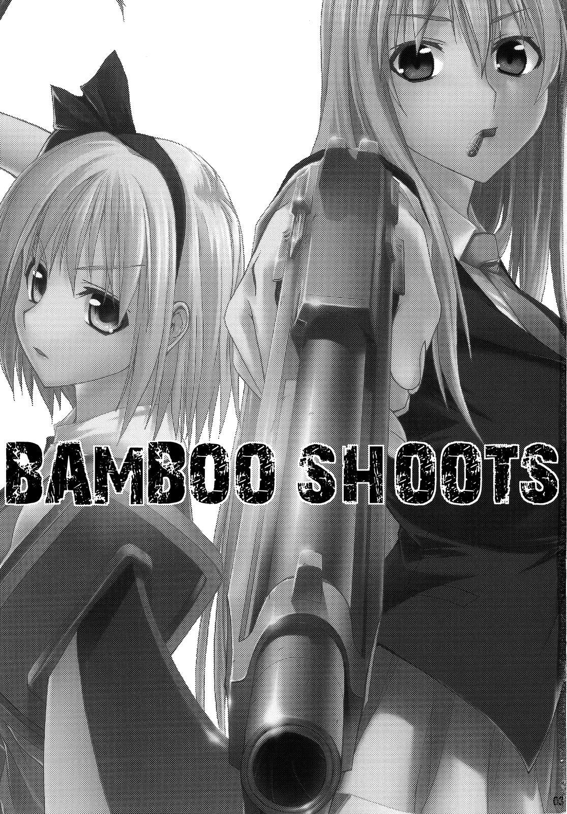 Touhou - Bamboo Shoots (Doujinshi) Oneshot 第2页