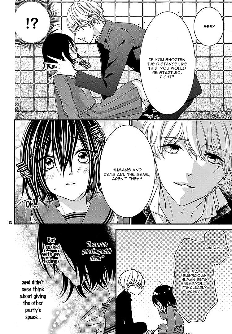 Noraneko to Hidamari Oneshot 第24页