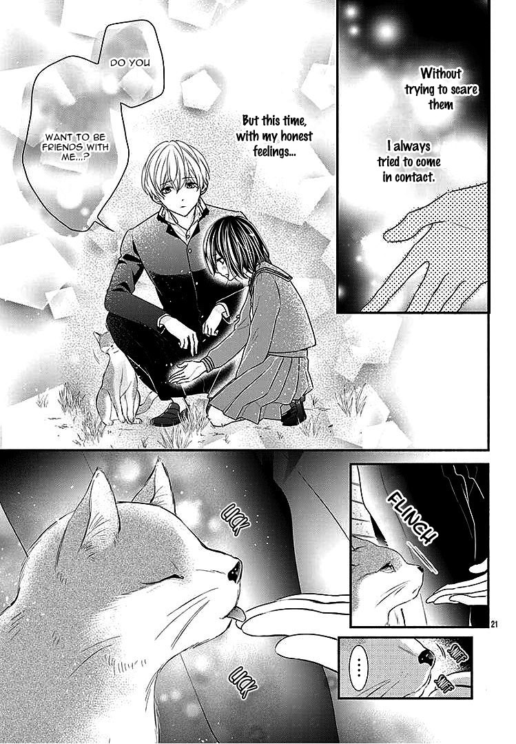 Noraneko to Hidamari Oneshot 第25页