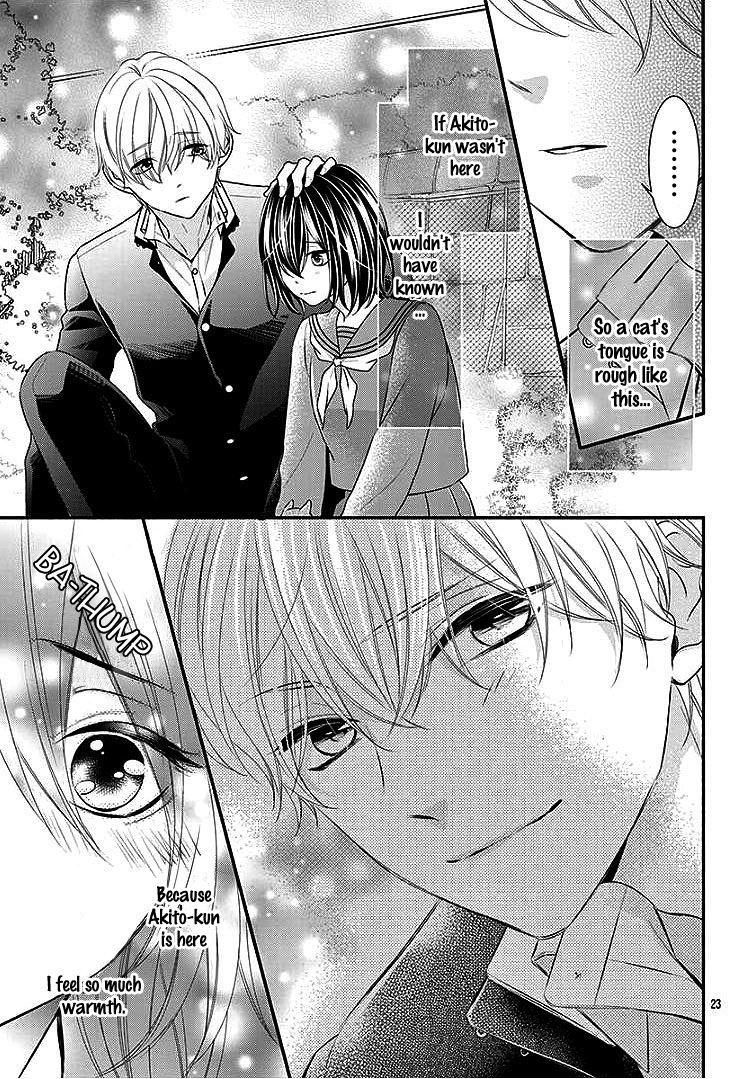 Noraneko to Hidamari Oneshot 第27页