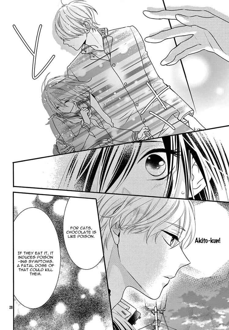 Noraneko to Hidamari Oneshot 第32页