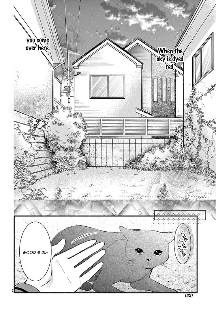 Noraneko to Hidamari Oneshot 第6页