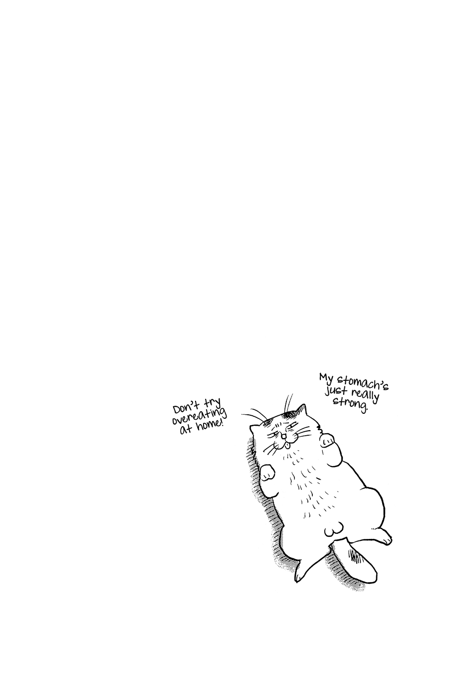 Neko to Wakagashira Ch. 2 第13页