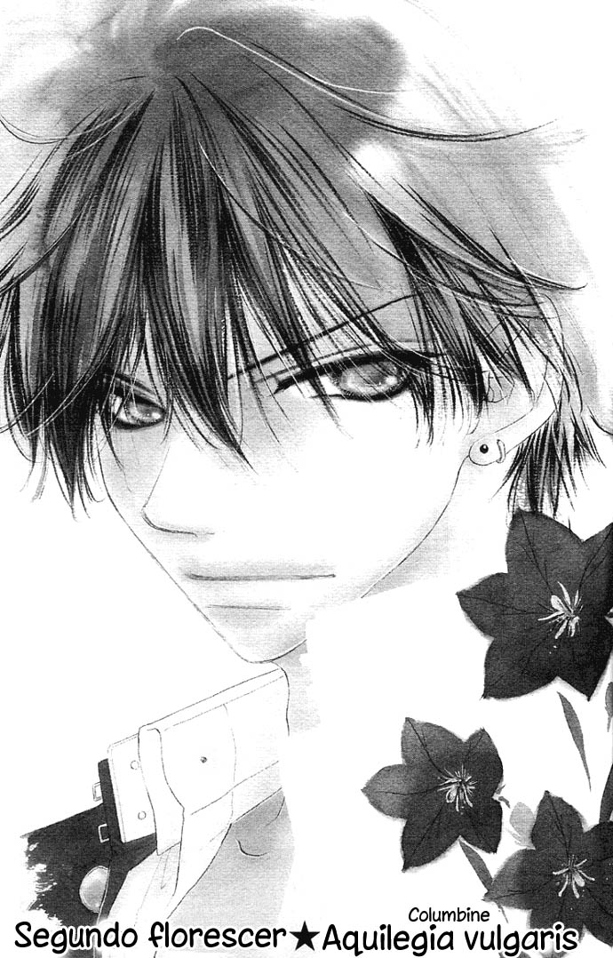 Kiss/Hug Segundo florecer ★ Aquilegia Vulgaris 第1页