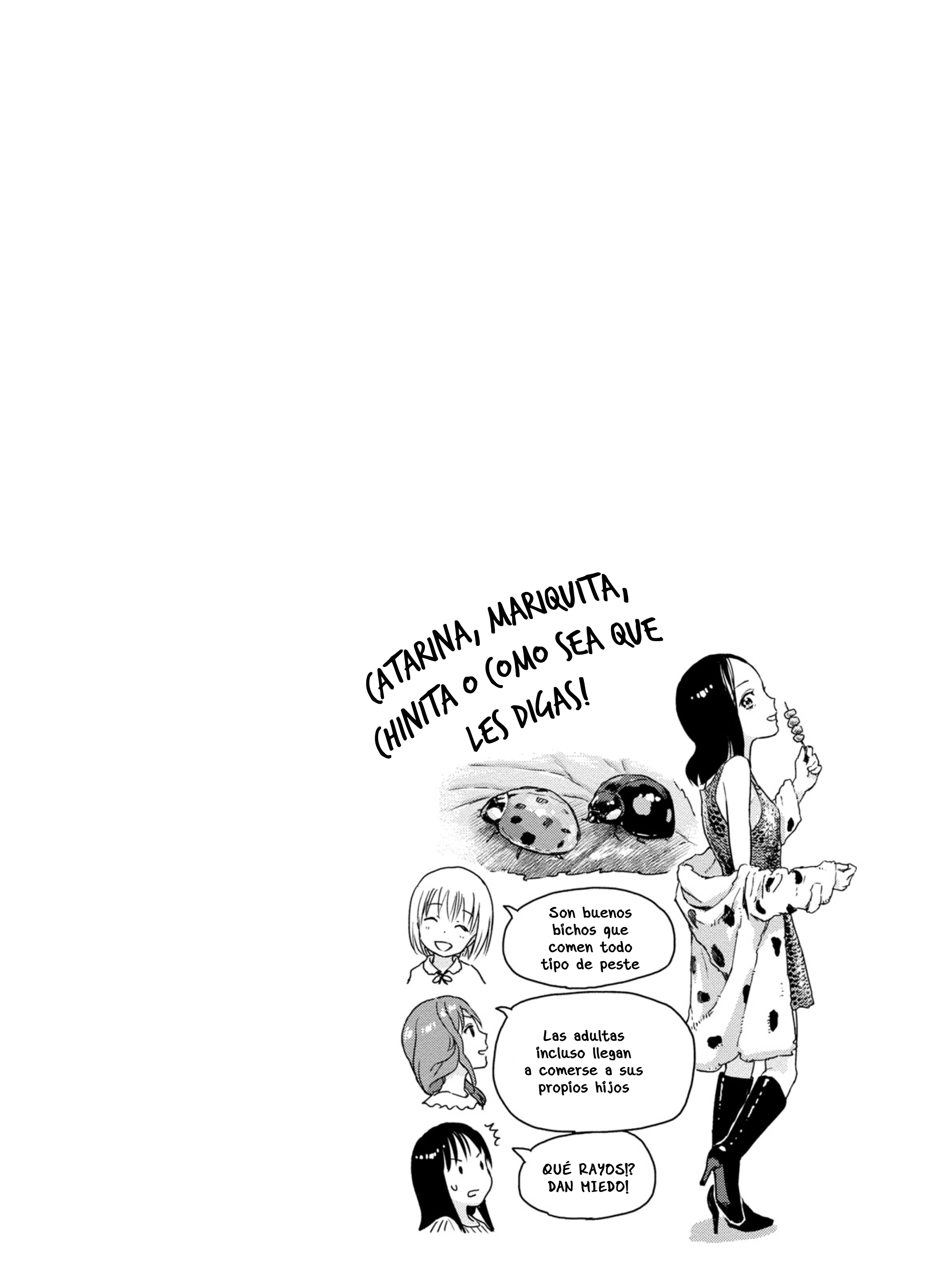 Mai's Insect Life Polillas 第10页