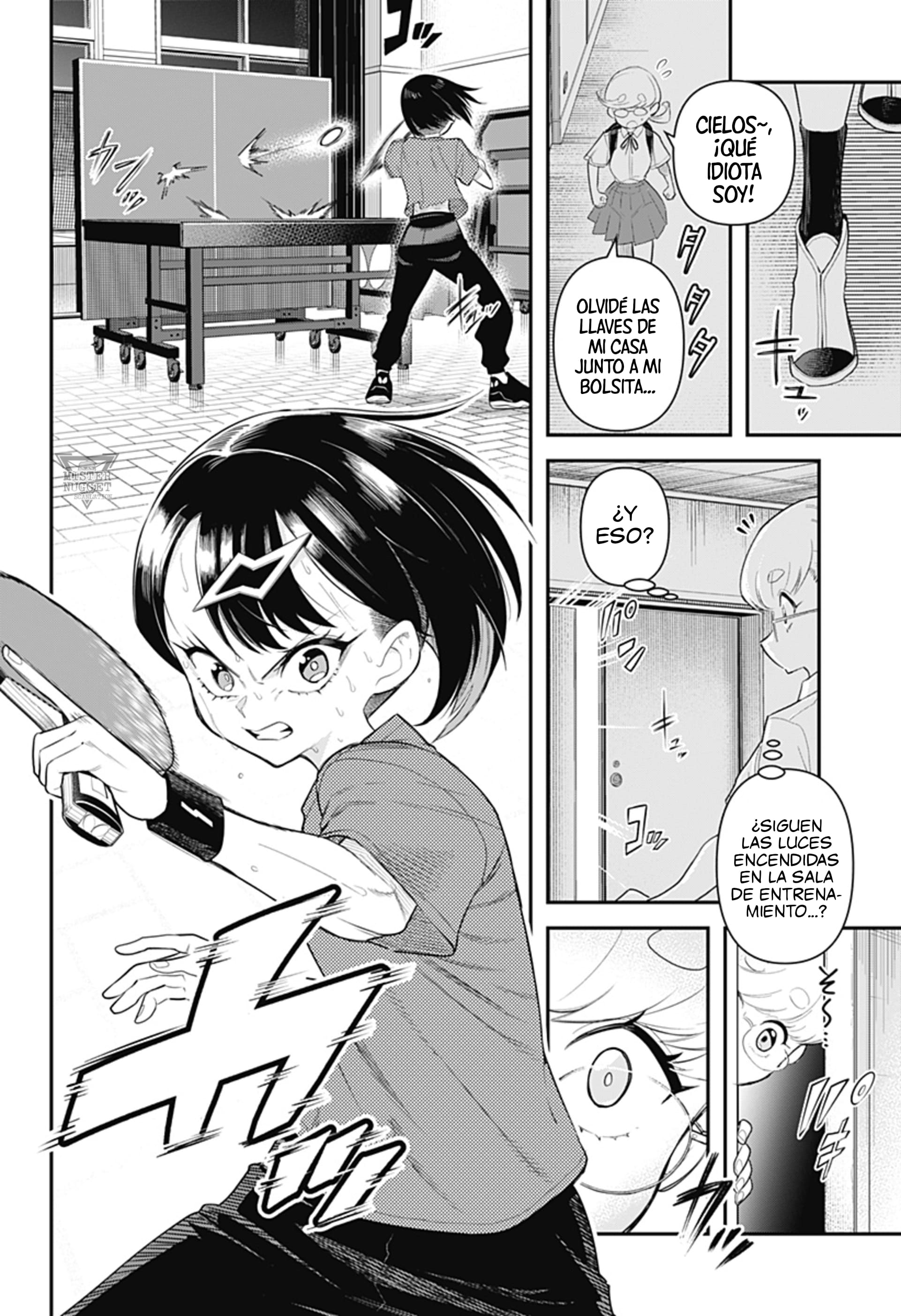 Shunrai Table Tennis Reinicio 第12页