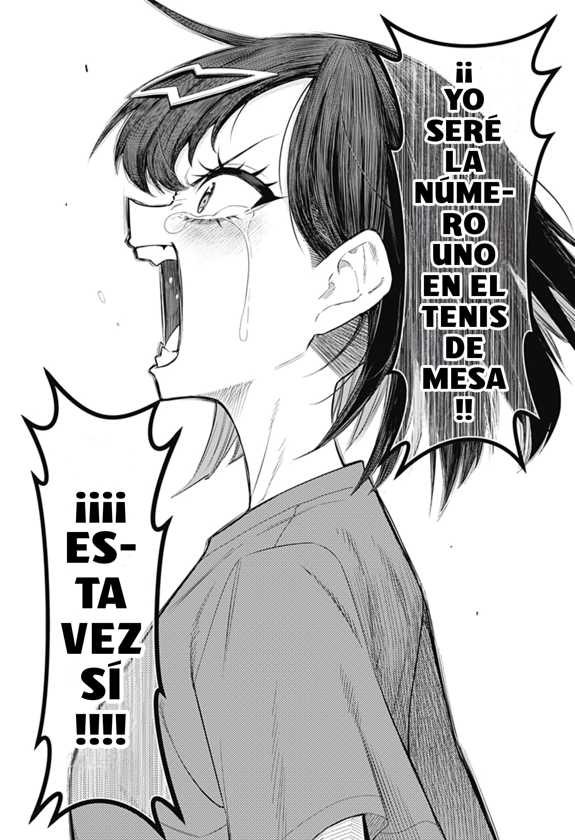Shunrai Table Tennis Reinicio 第23页