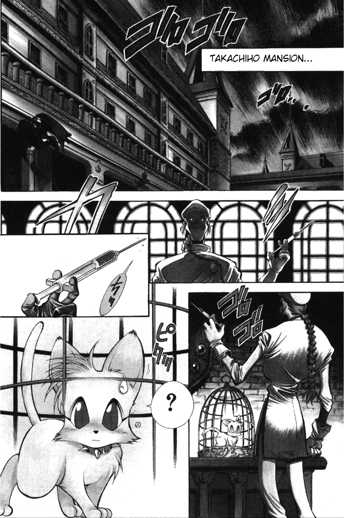Who is Fuou?! Stay cat rhapsody 第2页