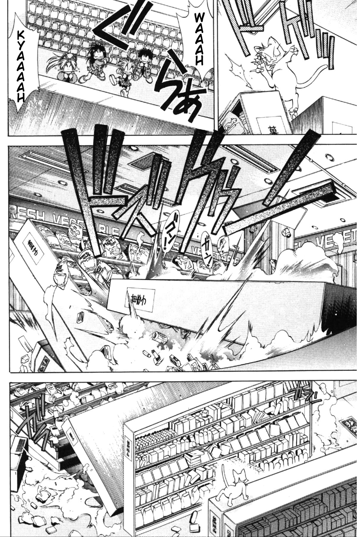 Who is Fuou?! Stay cat rhapsody 第24页