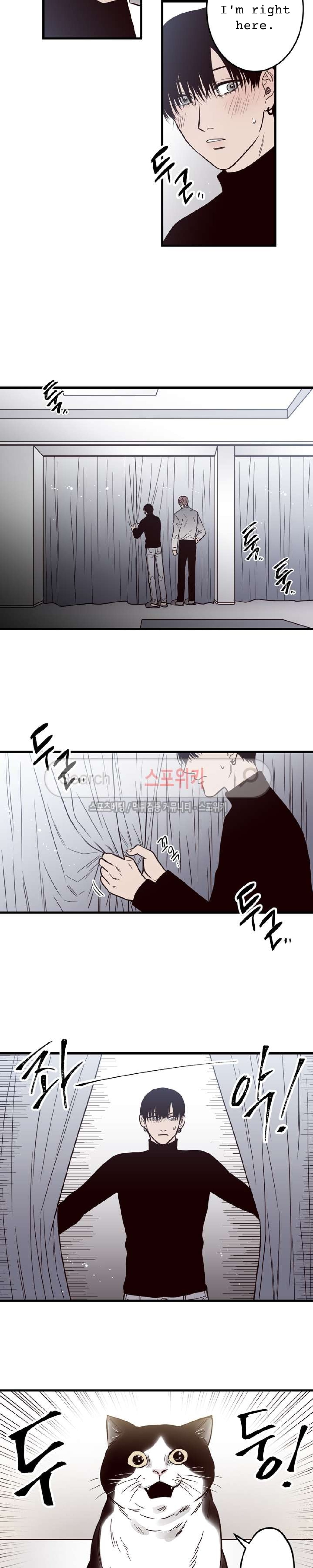 A Cross Line 第3页