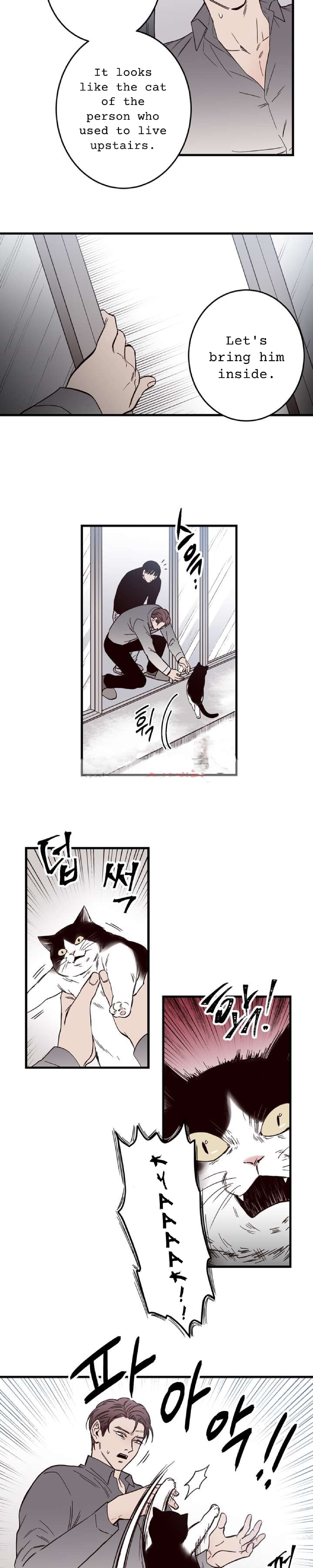 A Cross Line 第5页