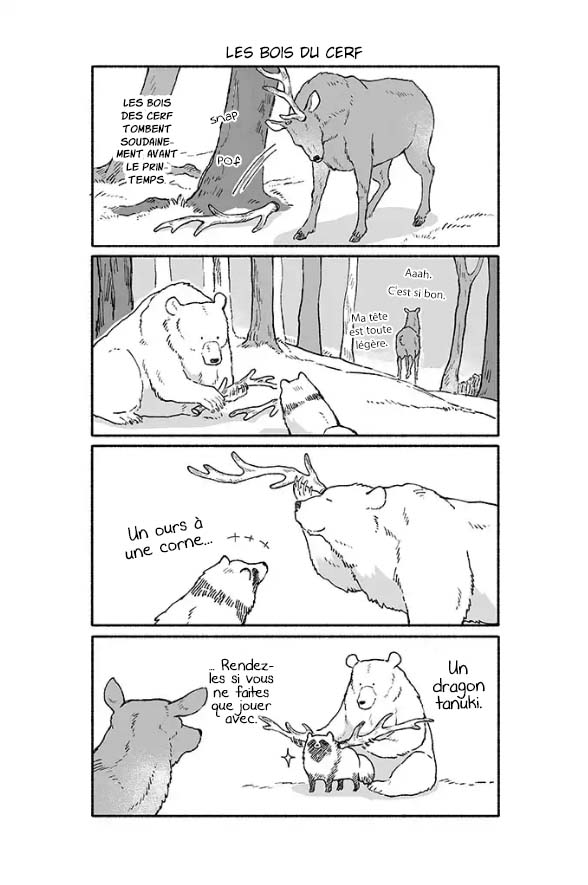 Bear and Tanuki Ours et Tanuki 第4页