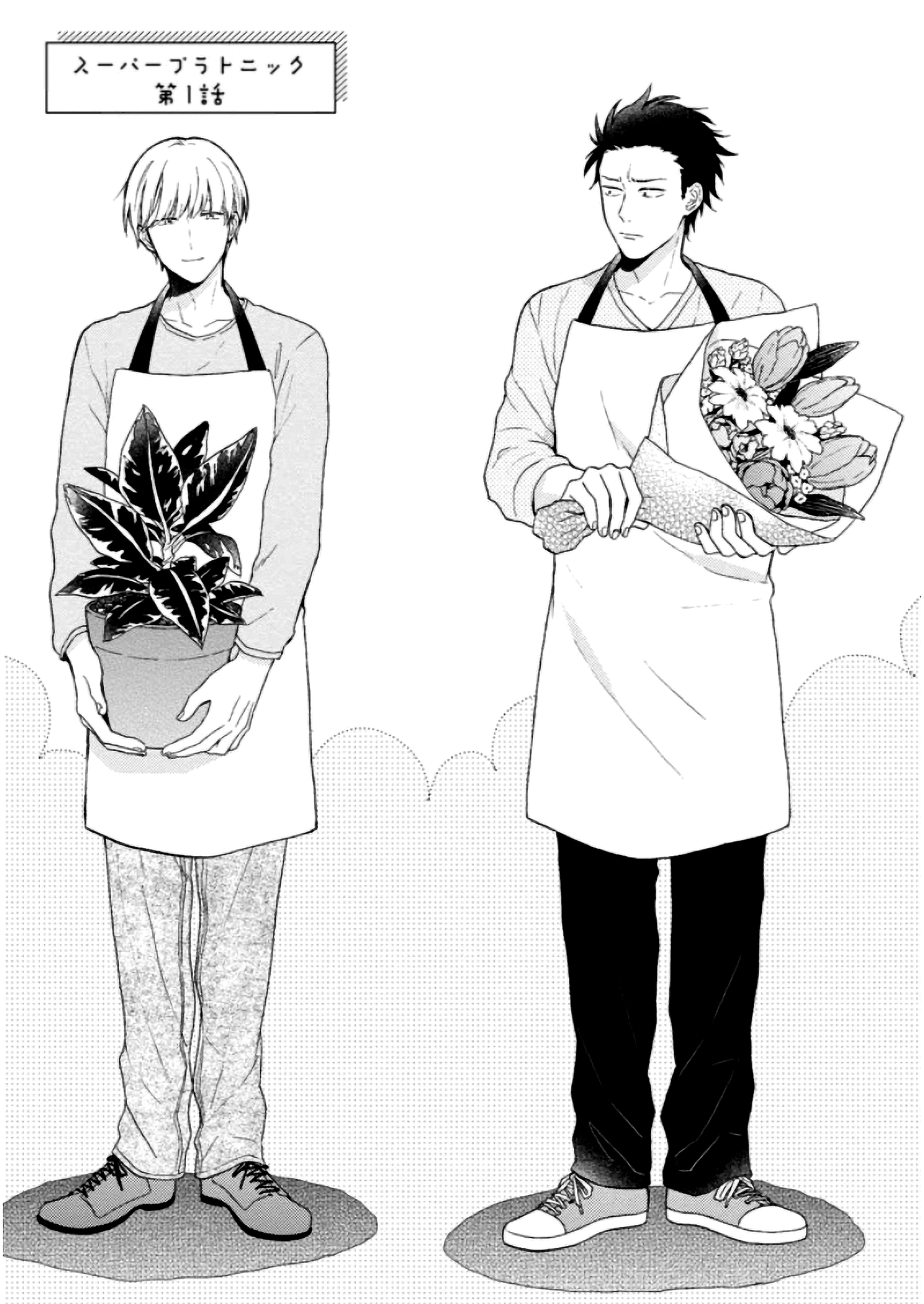 Super Platonic 第4页