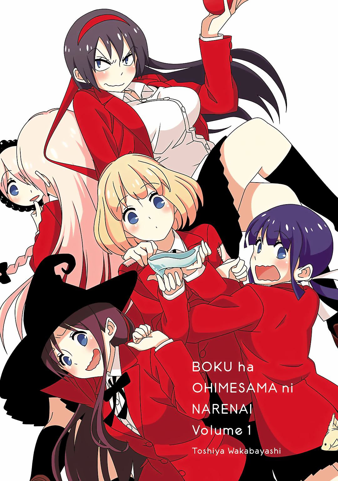 Boku wa Ohime-sama ni Narenai 第7页