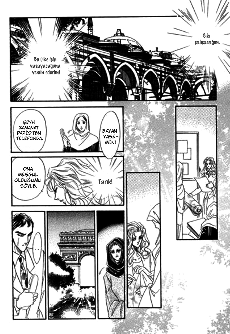 Sheikh ni Sarawarete Ch. 3 第13页