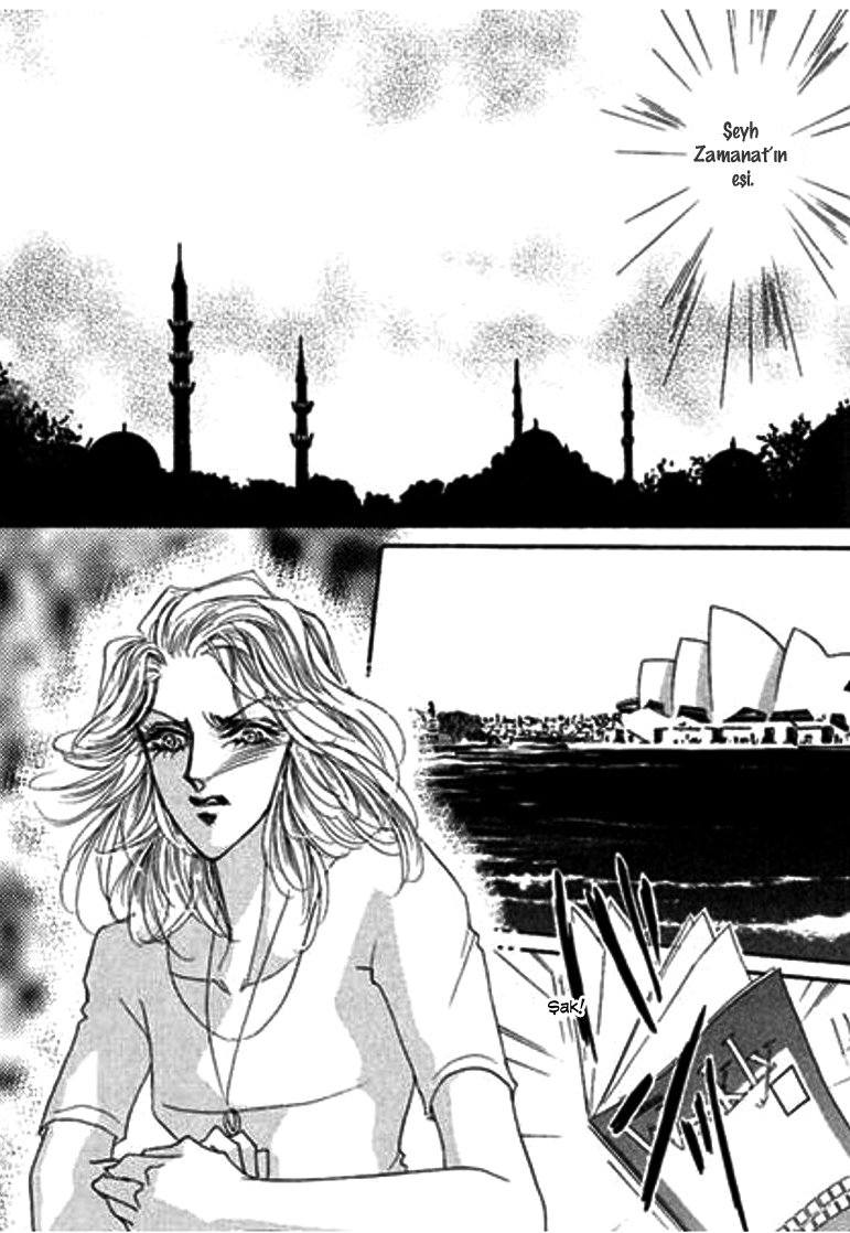 Sheikh ni Sarawarete Ch. 3 第25页