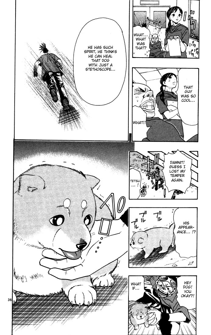 Wild Life Signpost of a Dream 第42页