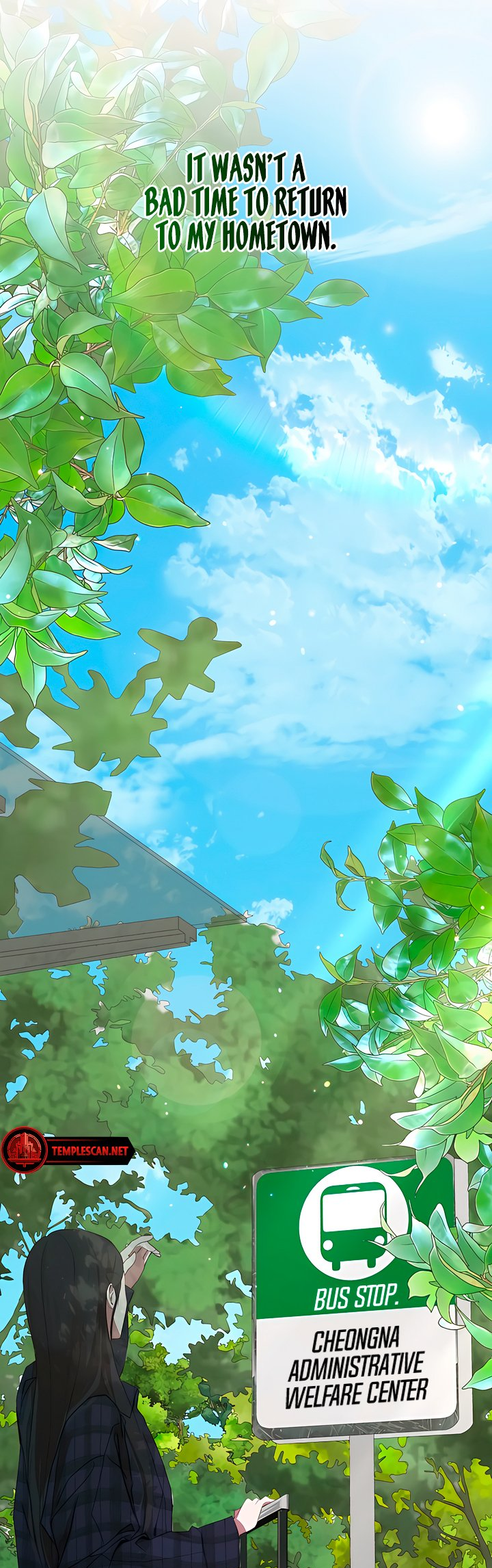 In the Shadow of the Spring 第6页