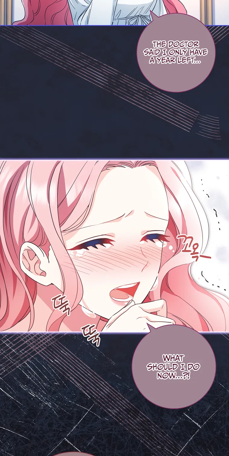 Contract Marrying Because I Am Terminally Ill Vol. 1 Ch. 2 第7页