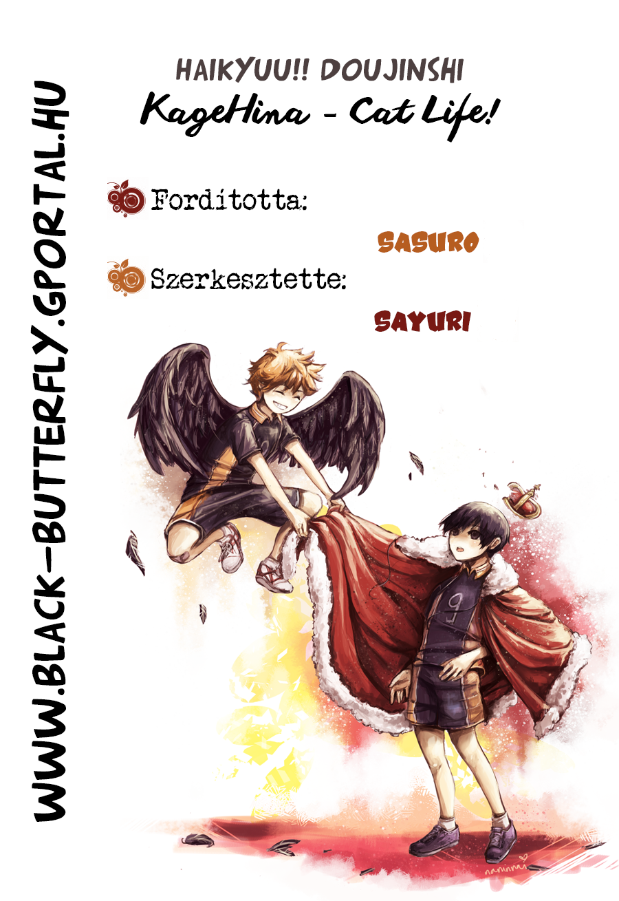 Haikyuu!! - Cat Life (Doujinshi) Oneshot 第1页