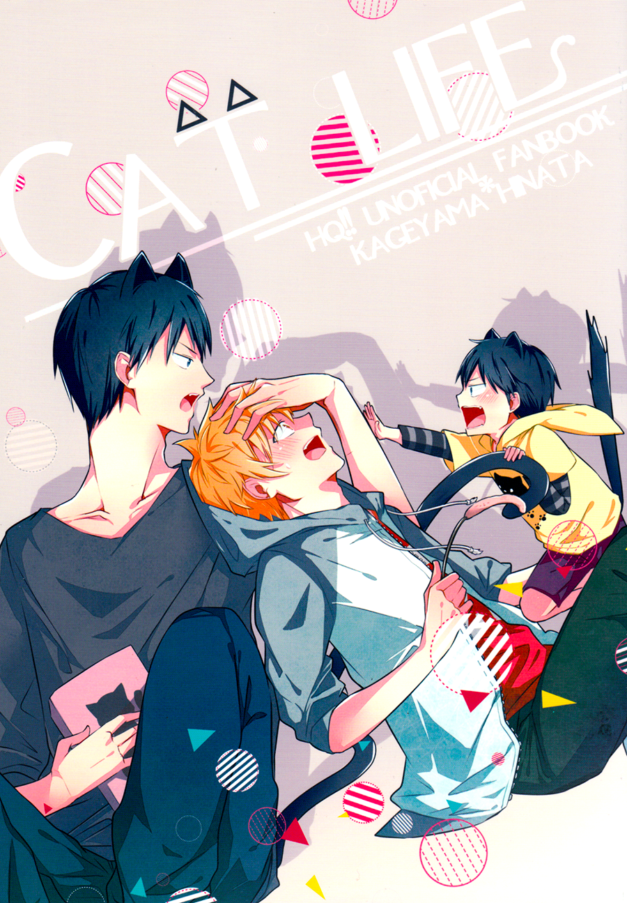 Haikyuu!! - Cat Life (Doujinshi) Oneshot 第2页
