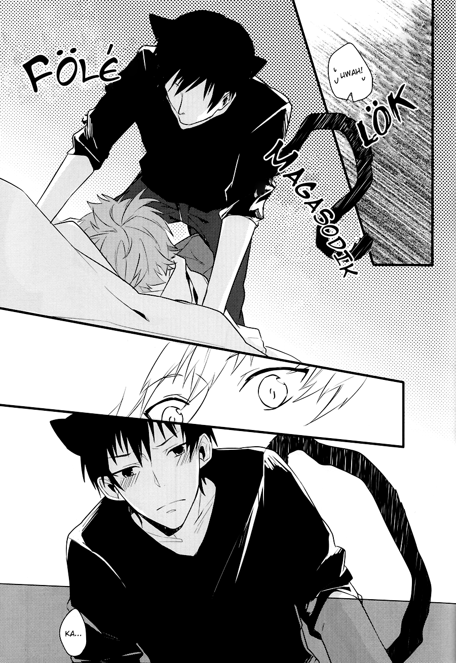 Haikyuu!! - Cat Life (Doujinshi) Oneshot 第15页