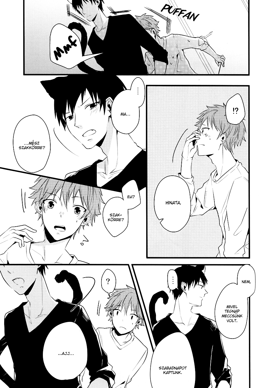 Haikyuu!! - Cat Life (Doujinshi) Oneshot 第7页