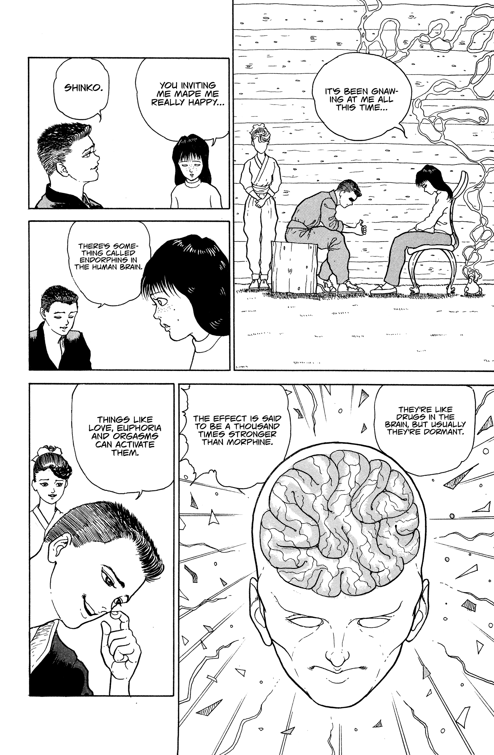 Make-upper The Result of Endorphins 第16页