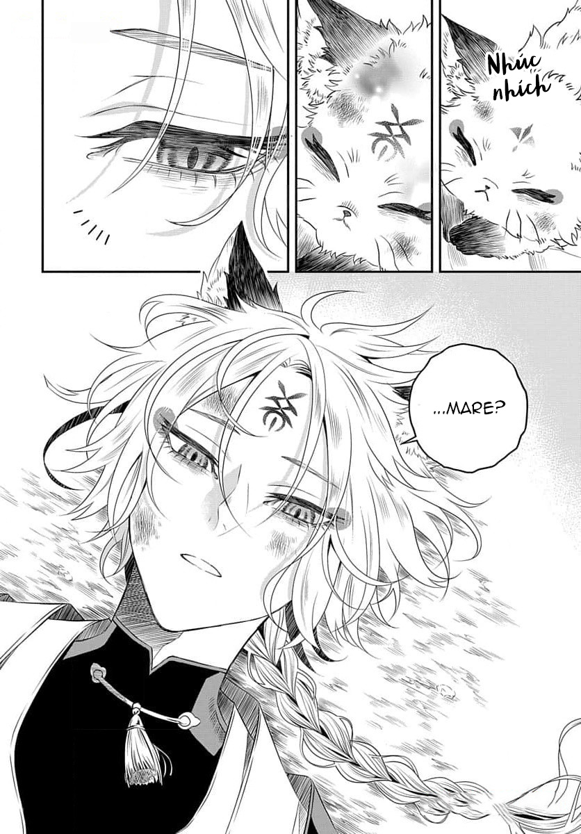 A Rare Fox Spirit Ch. 6 第11页