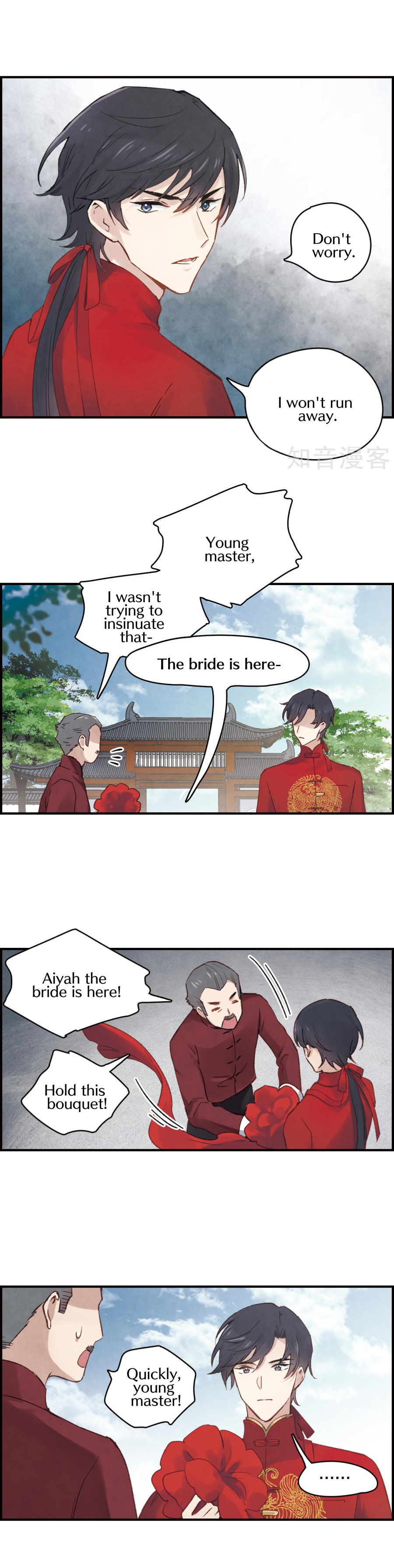 Mejaz - Regulus in the World Big wedding 第7页