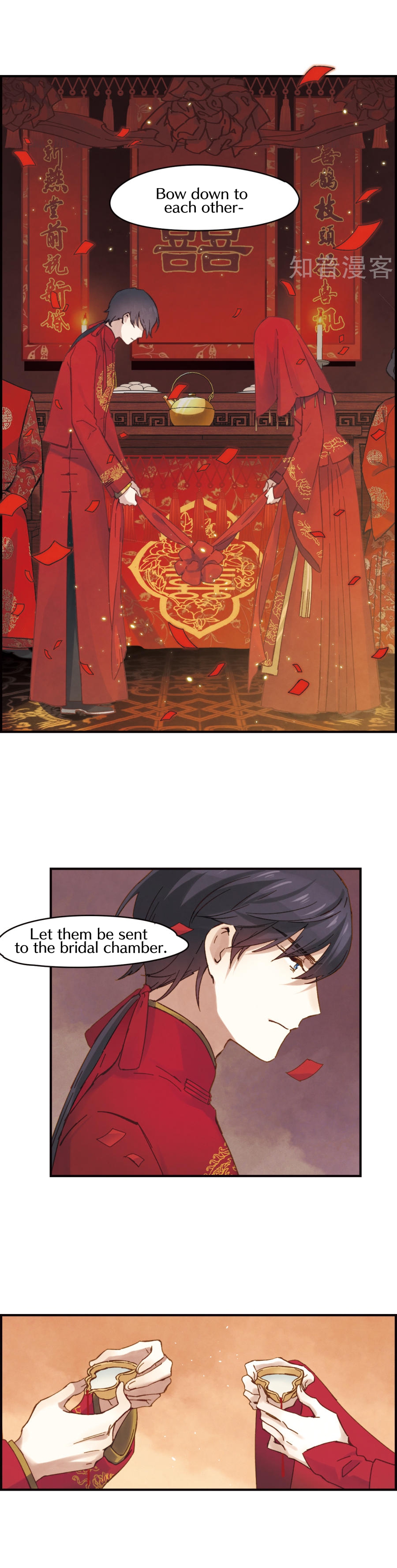 Mejaz - Regulus in the World Big wedding 第9页