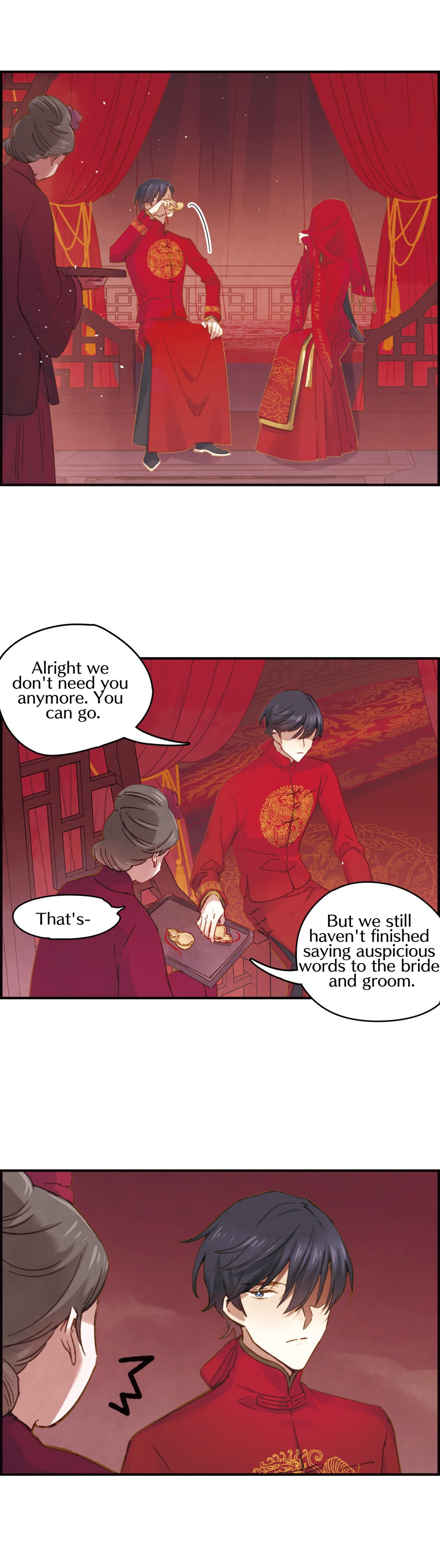 Mejaz - Regulus in the World Big wedding 第10页