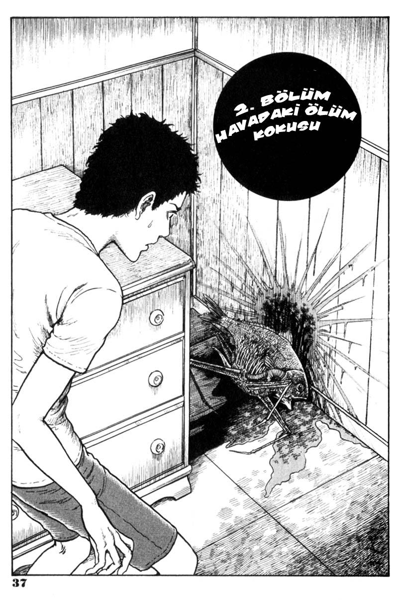 GYO Ch. 2 第2页