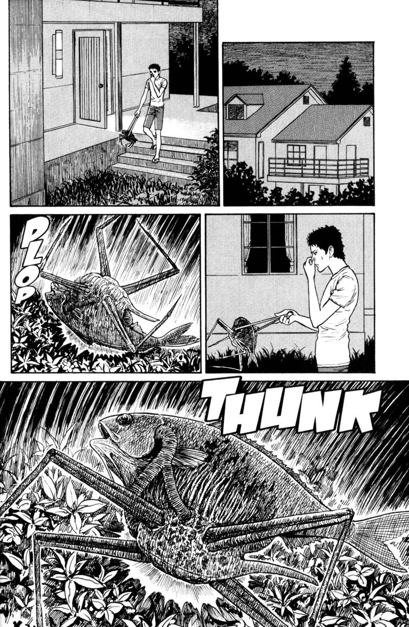GYO Ch. 2 第3页